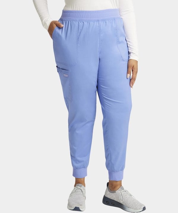 Mid Rise Moderate Flare Drawstring Pant Regular Length |  WW120